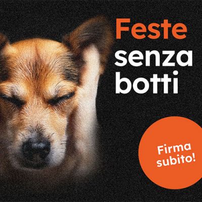 Consultazione sul progetto di legge