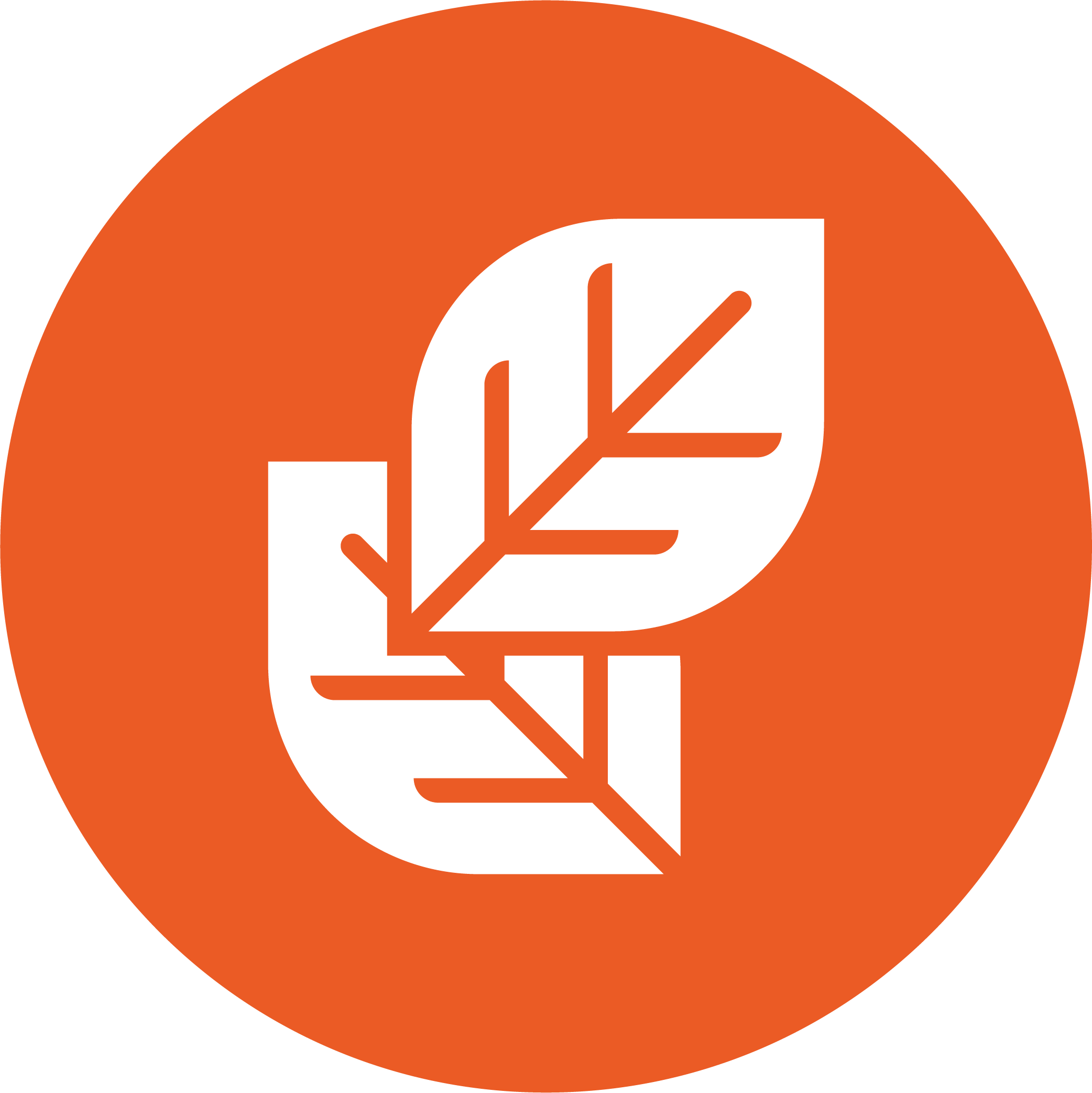 Les feux d'artifice génèrent beaucoup de déchets et nuisent à la nature