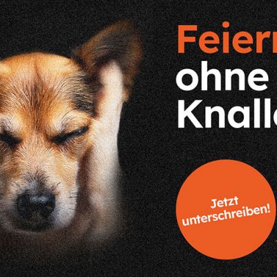 Vernehmlassung zum Gesetzesentwurf