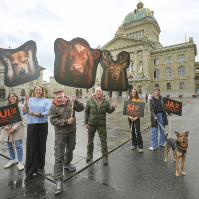 10 contre 1 en faveur de la limitation des feux d’artifice
